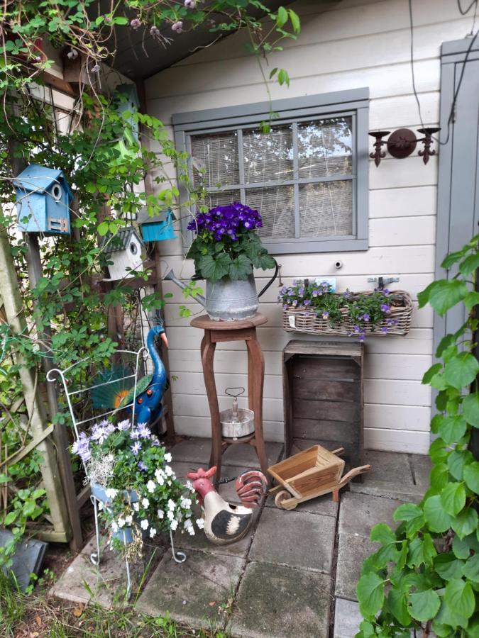 Anneke'S Bed En Botterhammeke Apartment Woensdrecht ภายนอก รูปภาพ