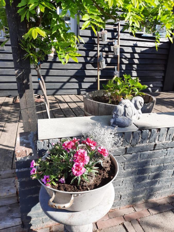 Anneke'S Bed En Botterhammeke Apartment Woensdrecht ภายนอก รูปภาพ