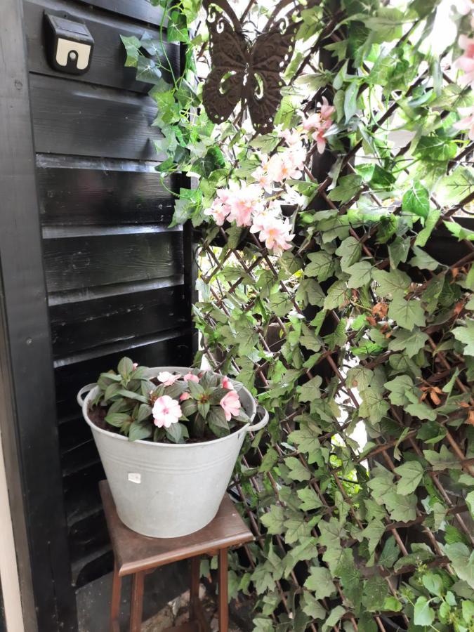 Anneke'S Bed En Botterhammeke Apartment Woensdrecht ภายนอก รูปภาพ